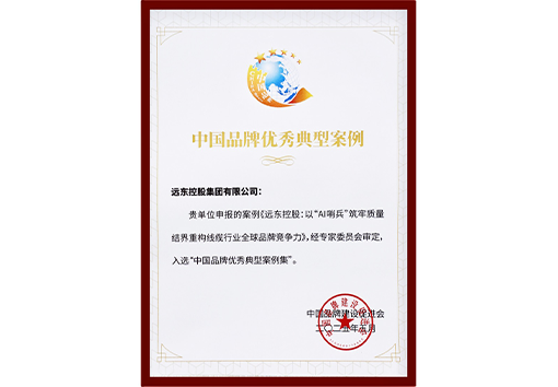 中國(guó)品牌優(yōu)秀典型案例